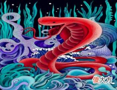 属蛇人的买房忌讳