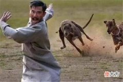 梦见被人追赶_做梦梦到被人追赶是什么意思