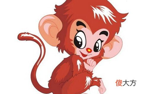 属猴在本命年可以结婚吗