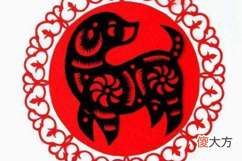 属狗在本命年可以结婚吗