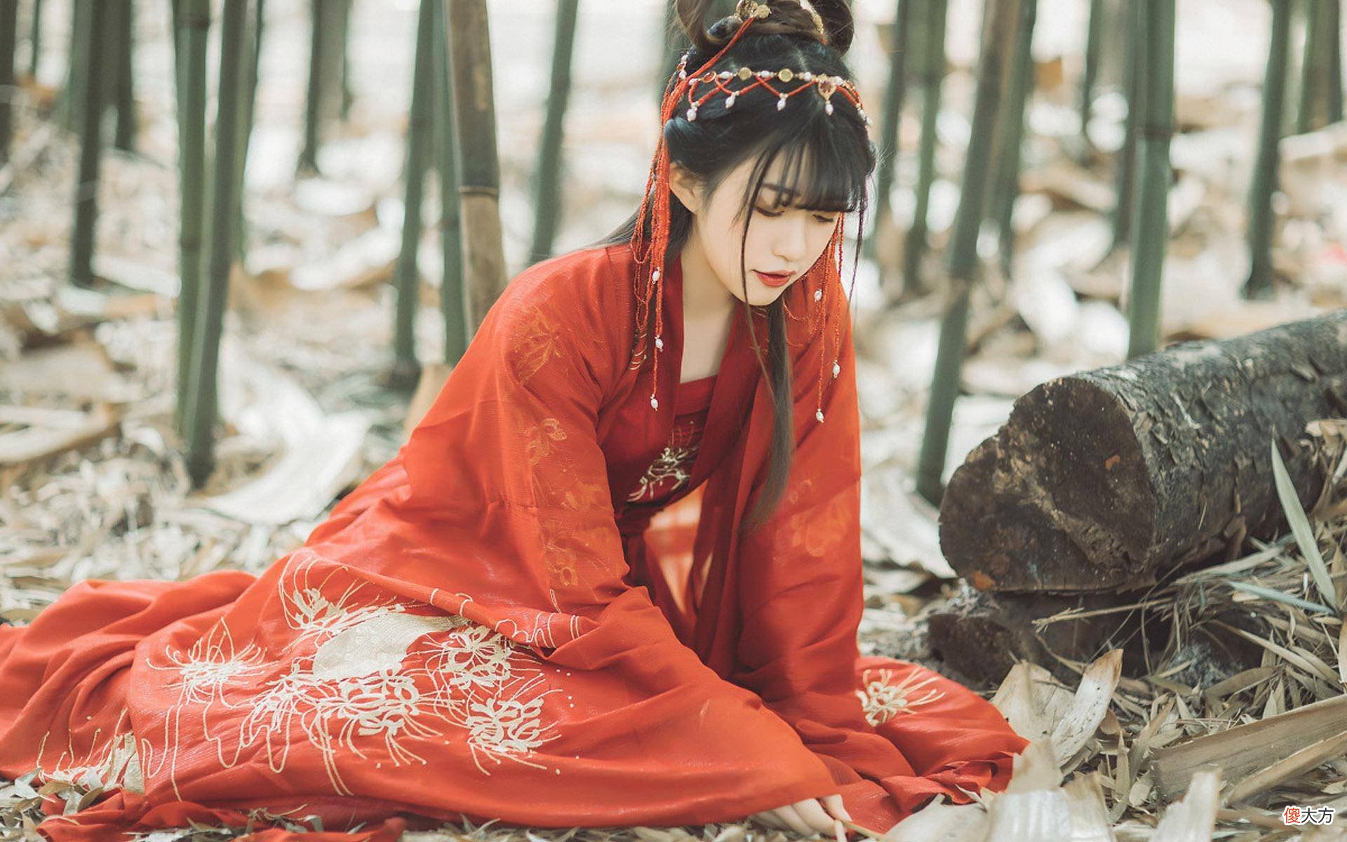 【历史故事】民间故事：悍妇看上书生的故事