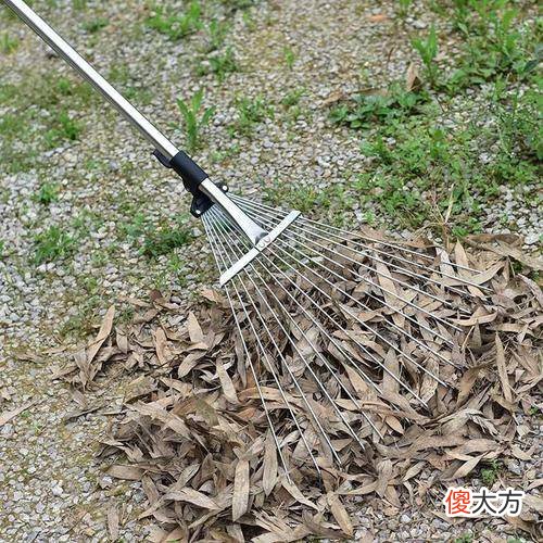 【历史故事】明朝那些事儿（2）