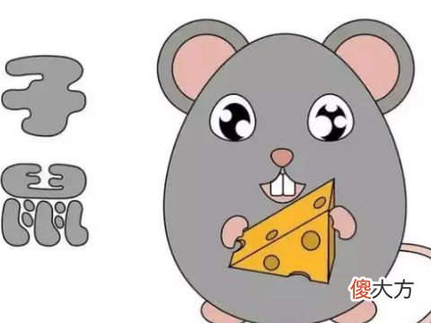 2022年属鼠大忌什么,虎年属鼠人忌讳什么东西