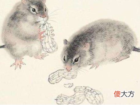 属鼠人2022年5月运势如何