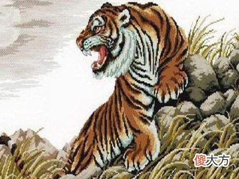 属虎人2022年11月运势如何