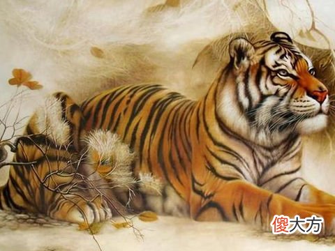 属虎人2022年7月运势如何
