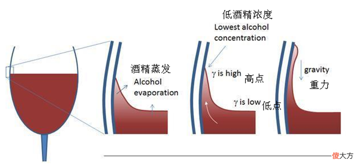 农村老话：不要往火堆中尿尿，根据马拉高尼效应，热水会逆流而上