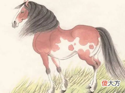 全面分析属马6月出生是什么命