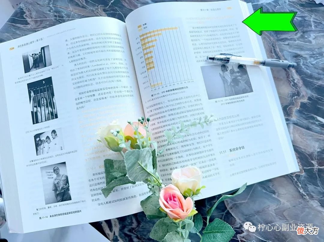 斯坦福大学教授50年心理学巨著：《津巴多普通心理学》
