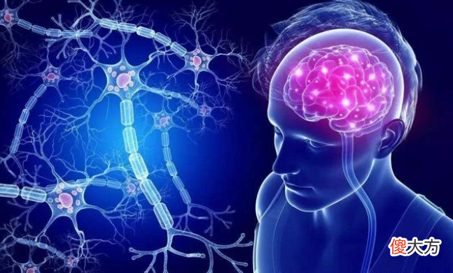 经常午睡和从不午睡的孩子长大有啥不同？有3点区别显著