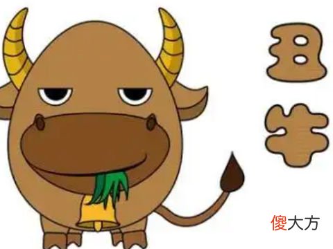 全面分析属牛8月出生是什么命