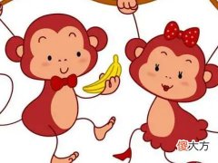 全面分析属猴8月出生是什么命