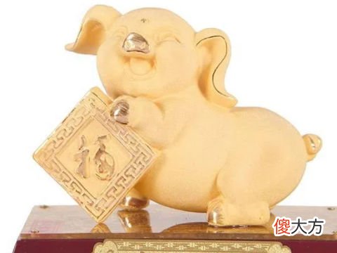 全面分析属猪8月出生是什么命