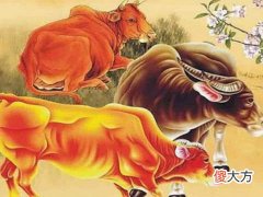 1985年属牛2022年37岁转运,属牛人运势如何