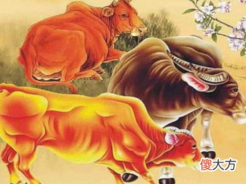 全面分析属牛9月出生是什么命