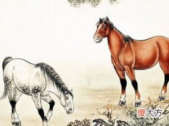 全面分析属马9月出生是什么命