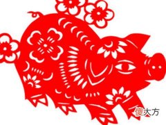 全面分析属猪9月出生是什么命