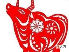 1985年属牛37岁运气,属牛人运气是好是坏