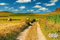 男人最命苦的三种生肖有你吗