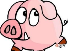 全面分析属猪10月出生是什么命