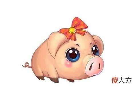 属蛇的会克死属猪的吗