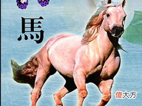 全面分析属马11月出生是什么命