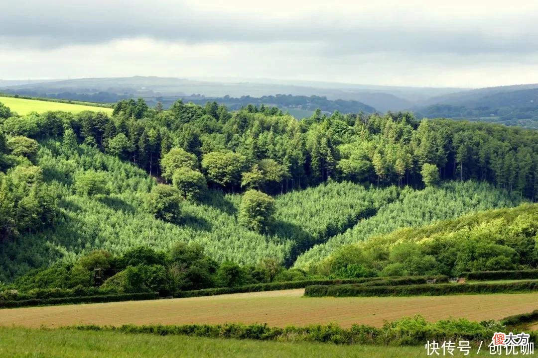【十二星座】峰回路转，运势逆袭，3生肖在7月底，否极泰来，有望实现心中所想