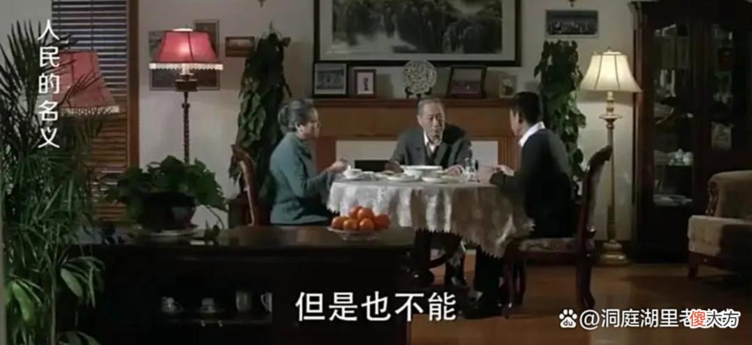 【历史故事】人民的名义：省委书记沙瑞金宴请陈岩石夫妇有何不妥