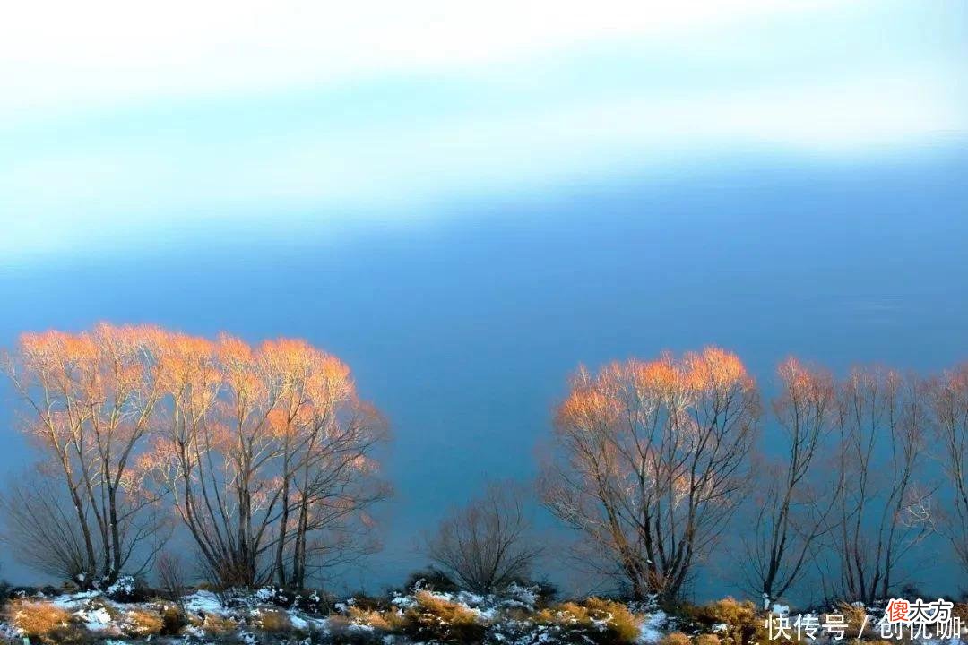 【十二星座】特立独行，敢于拒绝的3生肖，有个性有魄力，下半年注定步步高升