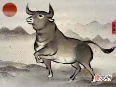 属牛的男人和属什么最配