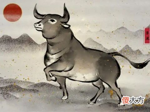属牛的男人和属什么最配