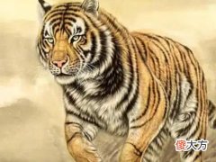 属虎的男人和属什么最配