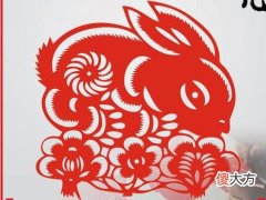 属兔的男人和属什么最配