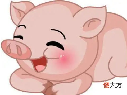 属猪的男人和属什么最配
