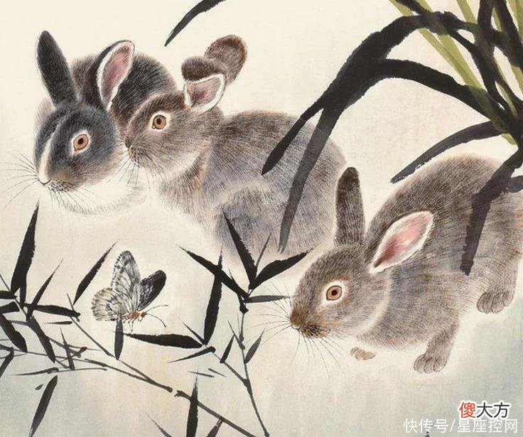 【十二星座】家里有什么生肖，家业兴旺，日子富足，虎年四面和气生财