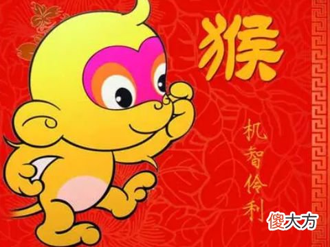 猴年属猴人注意什么相关事项