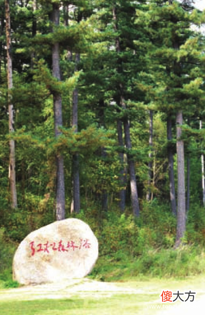 「世界国家地理百科」小兴安岭森林