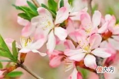 6月桃花运爆棚 正缘到来牵手爱情 共赴未来的3星座