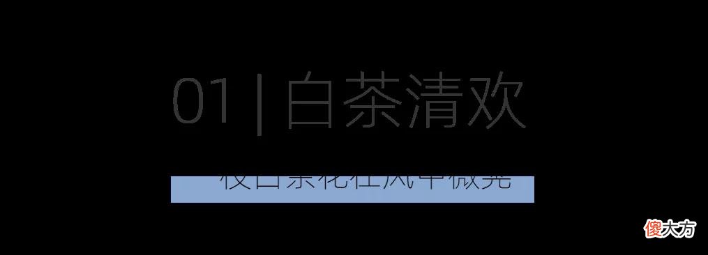 【时尚一点】好闻到沉醉！氛围感拉满的小众香薰，提升宅家幸福感！