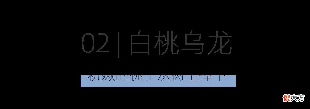 【时尚一点】好闻到沉醉！氛围感拉满的小众香薰，提升宅家幸福感！