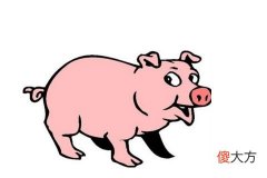 属猪女喜欢什么样的男人类型的