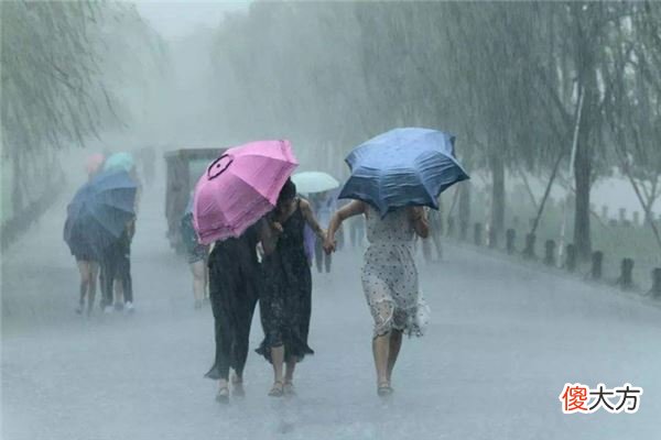 做梦梦见被大雨淋的象征寓意(图文)