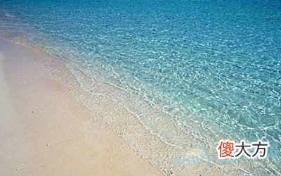 梦见海边(图文)