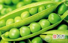梦见豌豆(图文)