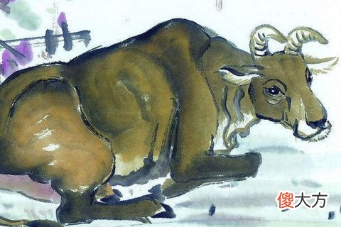 牛年本命年能穿红色说法正确吗