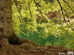 【十二星座】7-9月，事业有突破，爱情有惊喜，将事半功倍，收获满满的3个生肖