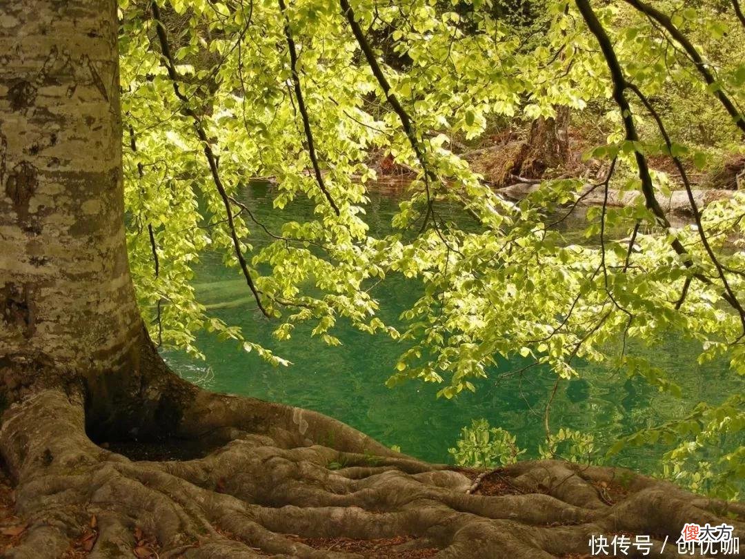 【十二星座】7-9月，事业有突破，爱情有惊喜，将事半功倍，收获满满的3个生肖