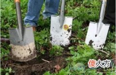 梦见挖坟的象征意义是好是坏？(图文)