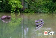 梦见自己被淹死(图文)