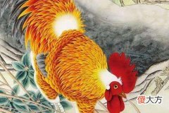 1981年属鸡40岁以后交运好不好